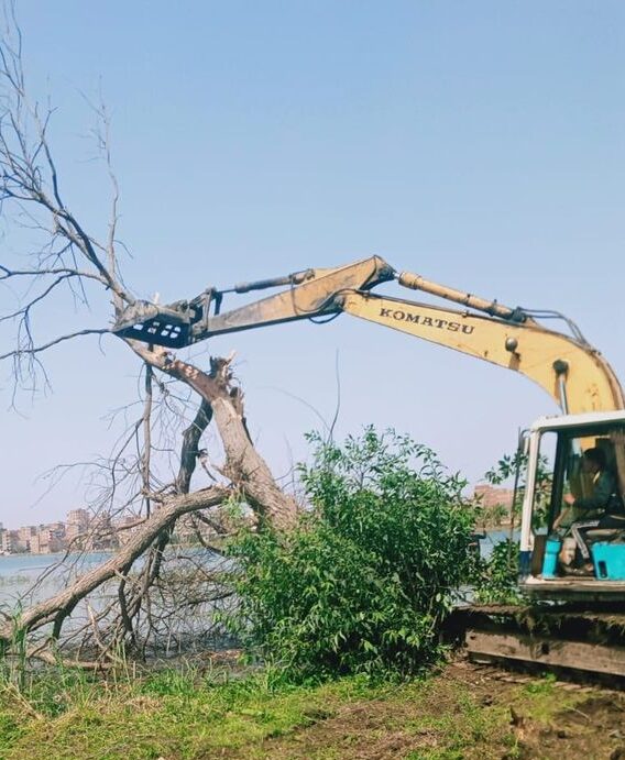 إزالة عدد (٥٨٦) حالة تعدي على ضفتي نهر النيل بالغربية