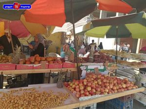 محافظ الغربية يتابع تقنين أملاك الدولة وأسواق اليوم الواحد ورقابة المخابز 24 waseet no bg 5