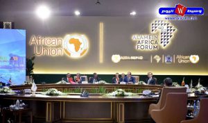 قمة العلمين لـ«أودا-نيباد».. السيسي يدعو لتعزيز الاعتماد على الموارد الأفريقية وتمويل التنمية